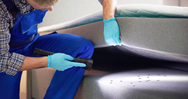 Best Affordable Exterminators  in Shippensburg, PA